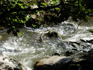 image112